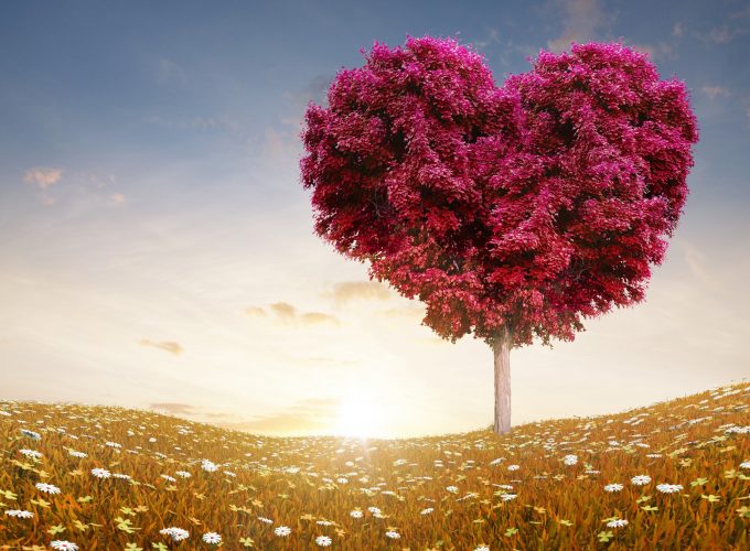 Stock Images love image, heart, 4k, tree, Stock Images 198535887